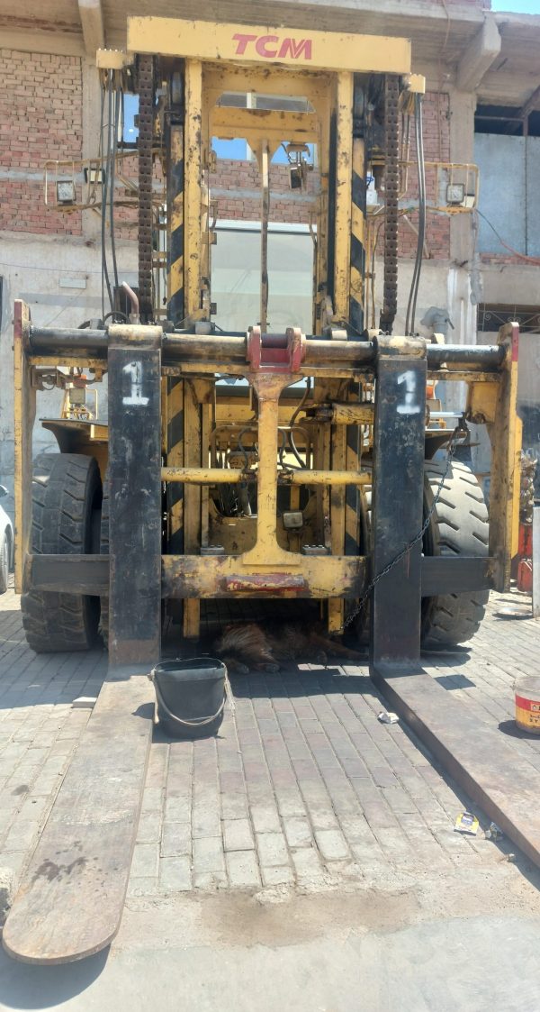forklift, renting forklifts in Egypt, ايجار رافعه شوكيه مصر, ايجار ونش شوكه مصر, ايجار فوركلفت مصر, ايجار كلارك 25 طن مصر, ايجار كلاركات مصر